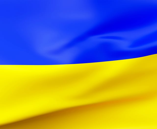 Ukraine: One year on