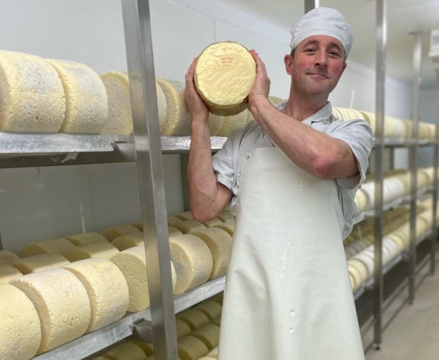 Global award for artisan cheesemakers