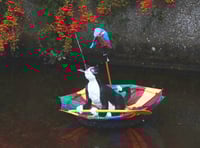 Cat released into Totnes leat