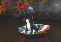 Cat released into Totnes leat