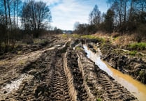Team effort rescues important spring mires