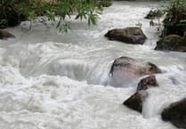 Volunteer to save Wembury's native flora