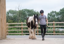 Prestigious award for Mare and Foal Sanctuary student