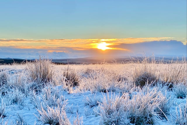 Yellow warning of ice and fog issued for tonight and tomorrow morning
