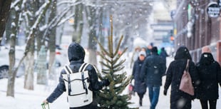 4 ways to keep busy between Boxing Day and New Years