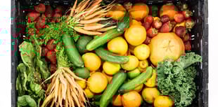New waste service supports local foodbank