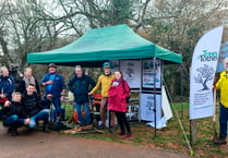 Volunteers help plant cherry trees