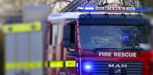 300 sheep escape South Milton barn fire