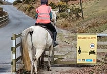 Drivers in Devon asked to 'rein' in their speed for horses 