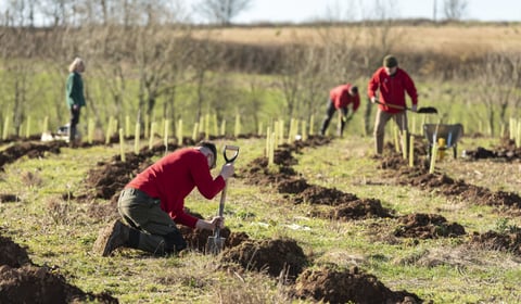 Devon County Council greenlights landmark community forest plan