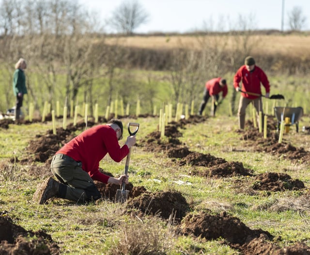 Devon County Council greenlights landmark community forest plan