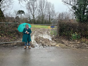 Fears rare field is being ‘destroyed’ by developers