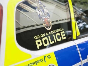 Man arrested after police attend Kingsbridge address