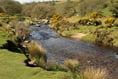 96% of English bathing waters meets required water quality standards