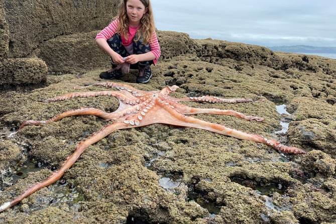 Ziggy's daughter Lauren with the octopus