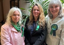 Greens gain district seats in historic election