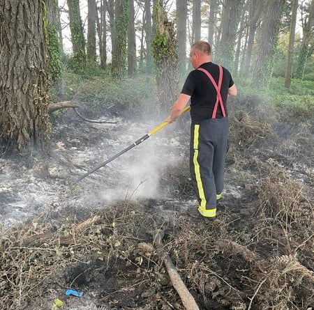 Modbury and Tavistock fire crews tackle Mothecombe grass fire