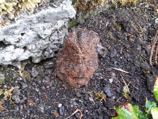 Princetown residents evacuated after suspect explosive found