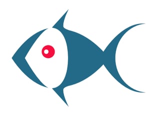 Fish company wins share of international funding 