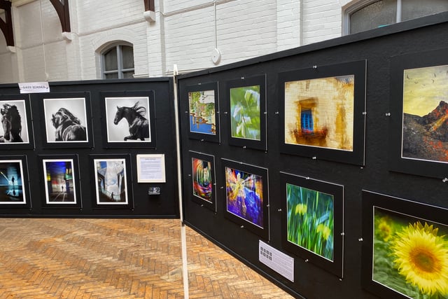 Kingsbridge Camera Club showcase their work