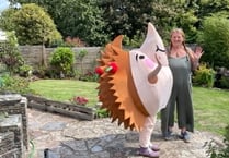 Prickles hedgehog hospital £450 better off after open day