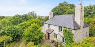 "Quintessential" cottage for sale comes with its own woodland 