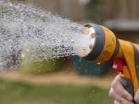 Make water go further amid lingering heat and second hosepipe ban