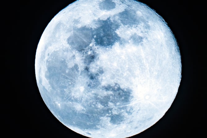 A Blue Moon.Photo by Eileen Rollin on Unsplash