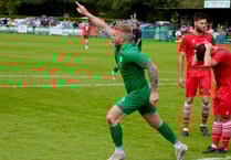 Ivies see off tough Teigns 