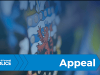 Appeal for witnesses following A30 crash 