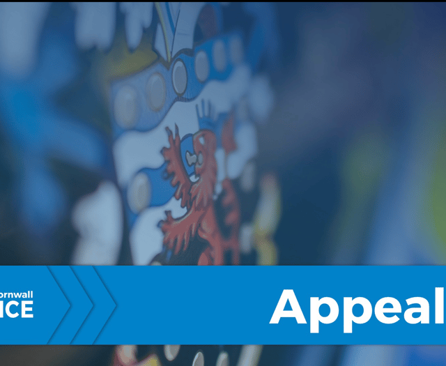 Appeal for witnesses following A30 crash 