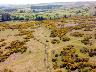 Devon Wildlife Trust publish landmark report on nature