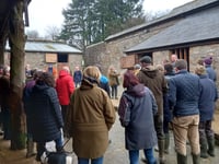 Free support sessions for Dartmoor farmers