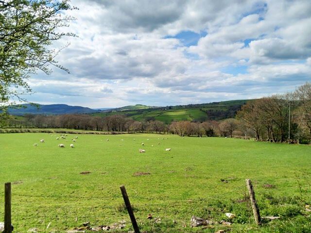 Bespoke support for South Hams farmers