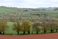 Devon’s Free Tree Scheme 'em-barks' on its fifth season

