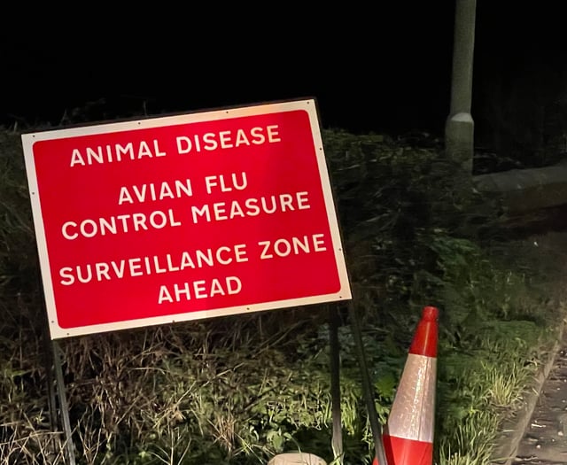 Shock that bird flu returns to Devon again
