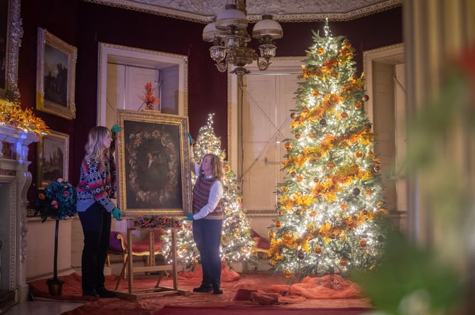 Saltram House - Christmas preparations have begun by staff and volunteers 