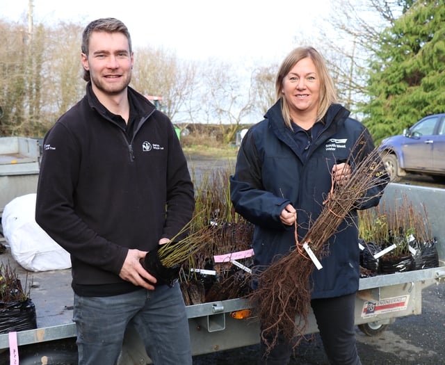 40,000 trees to be planted to improve Devon’s water quality