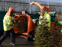 How and where to dispose of your Christmas tree
