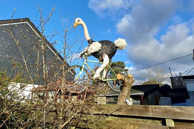 Ossie the Ostrich at his new home in Totnes
