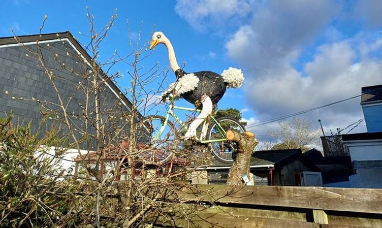 Ossie the Ostrich at his new home in Totnes