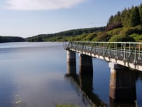 Call for action over river pollution