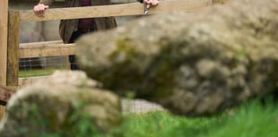 A word from your MP- Standing up for local farmers 