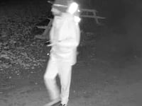 Vandals target Totnes castle