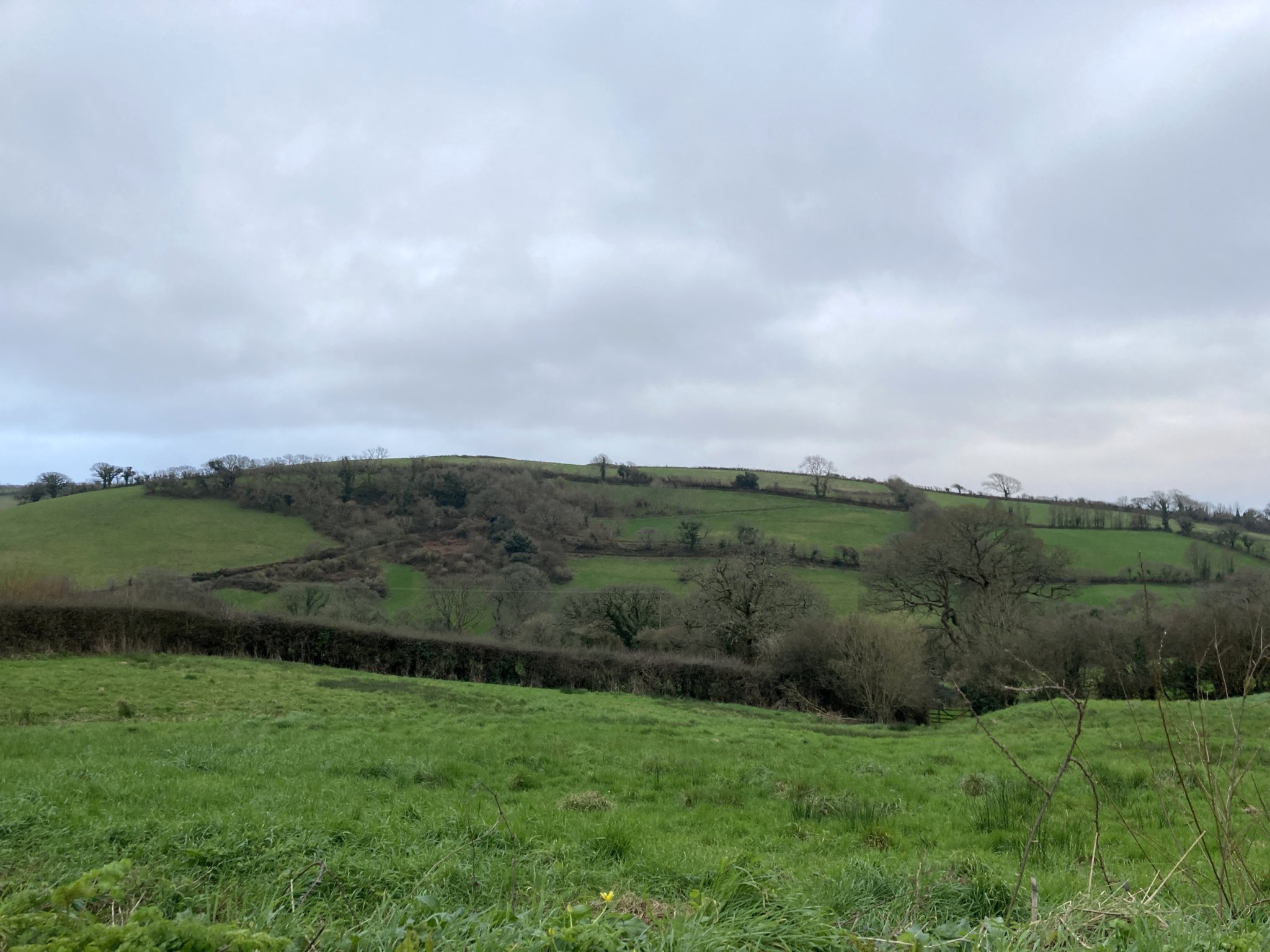 Fund offers grants to improve local environment