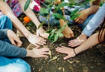 South Hams' nature campaign gets £20k boost