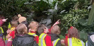 Learning brought to life at St John's