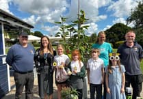Bllomin' good news as Tallest sunflower competition will be back