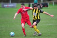 Second-half sting boosts Bees