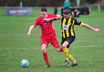 Second-half sting boosts Bees